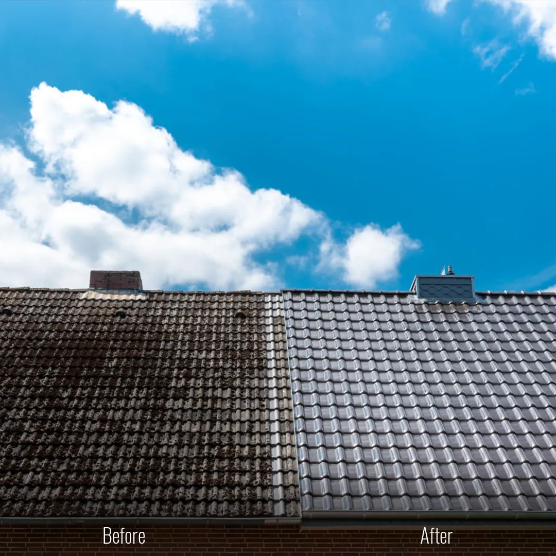 Roof Washing Services in Nassau County, NY | ShoreUp Power Washing
